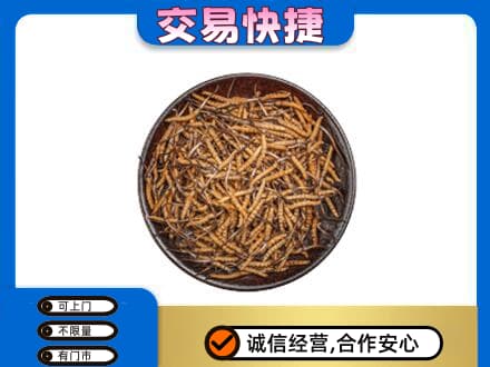 深圳礼品回收虫草.jpg