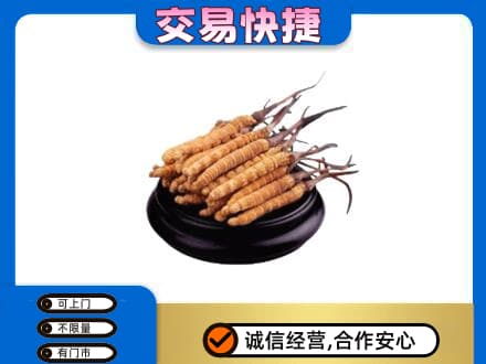 深圳礼品回收散虫草.jpg